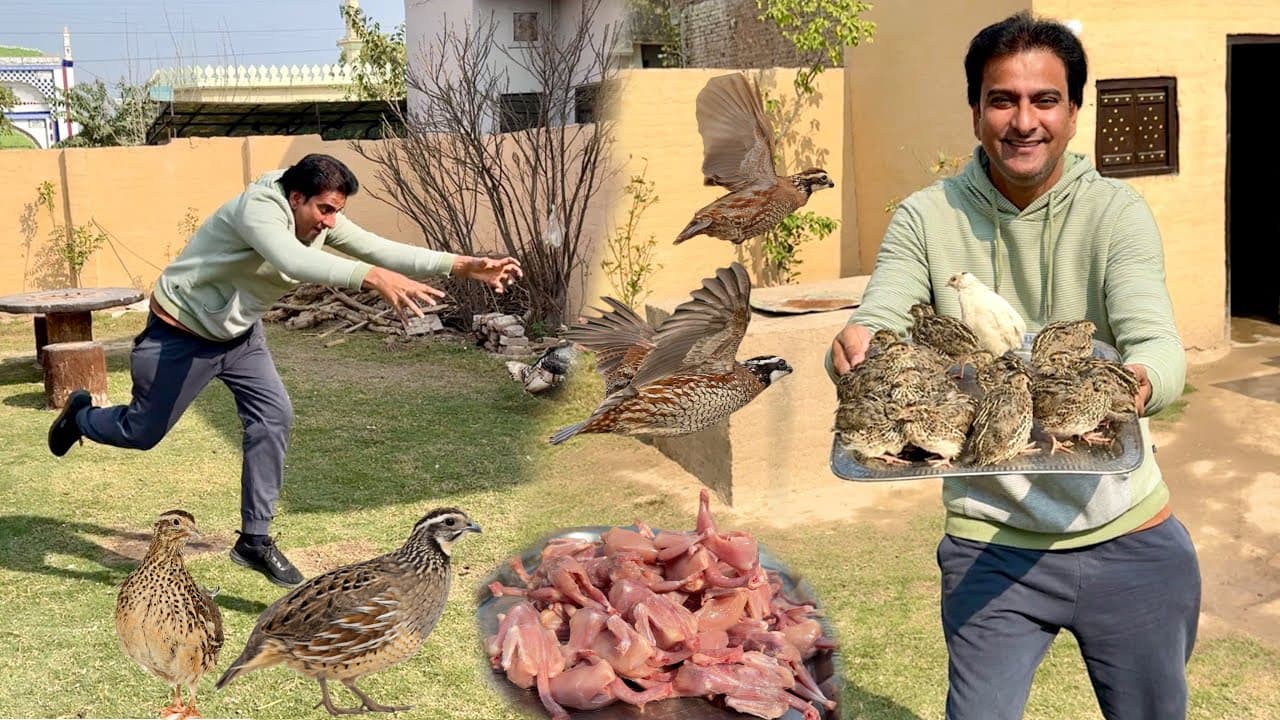 Kitchen Main Btair aa Gaey Mai ne Salan bna dia😋||How to Cook Quail(Btair)||Wahab kamran